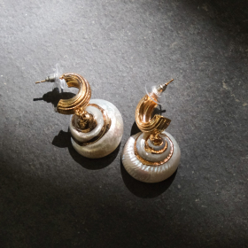 Natural seashell earrings